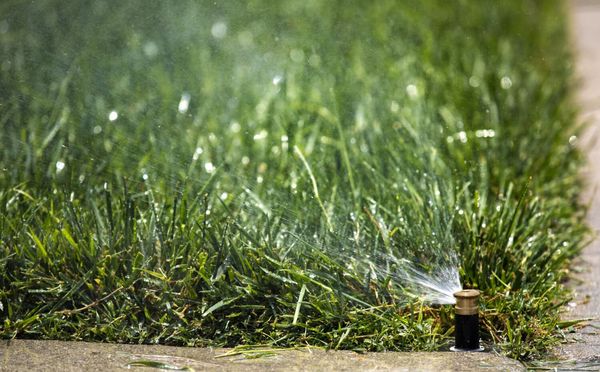 Gavin Newsom signs law to permanently ban watering grass at certain California businesses