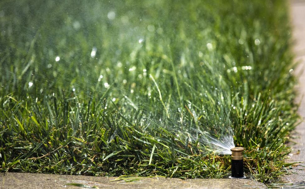 Gavin Newsom signs law to permanently ban watering grass at certain California businesses