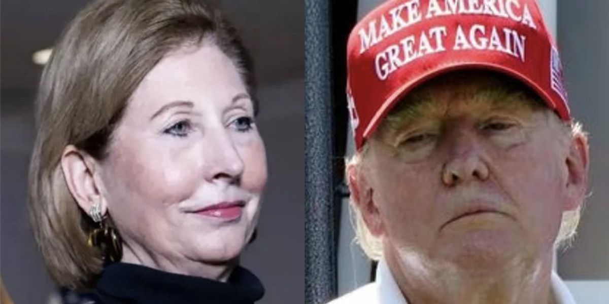 'Too dumb?' Trump ally Sidney Powell roasted by elections official for false fraud claim