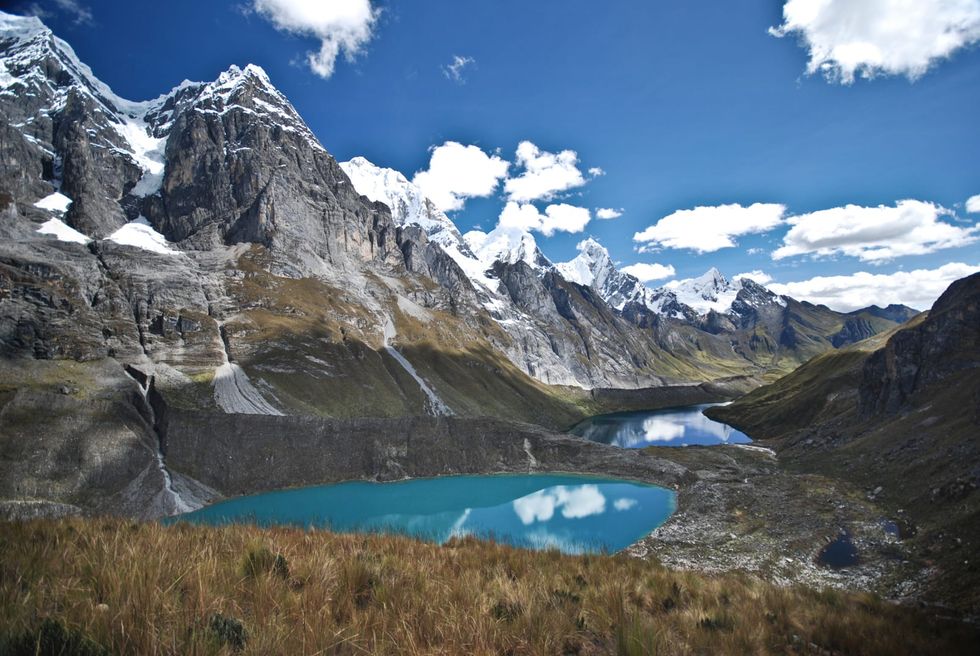 ‘Mummified’ mice found at volcano summits in Peru, researchers say. ‘Boggles the mind’