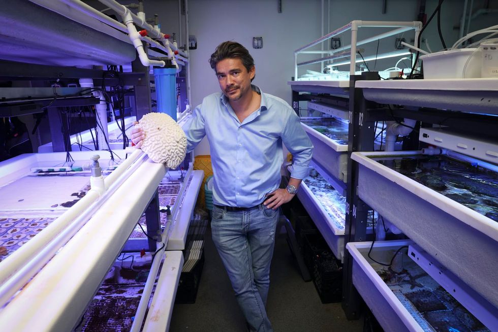 Can this team create a ‘perfect’ reef? Why the US military is banking on it