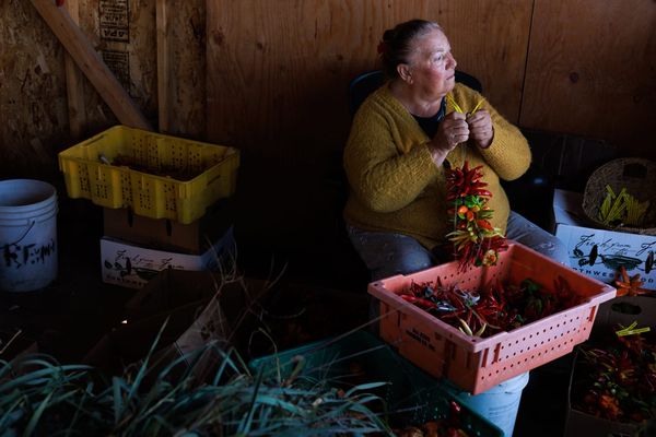 These farmers of color caught a pandemic boom. Now, many fear a bust