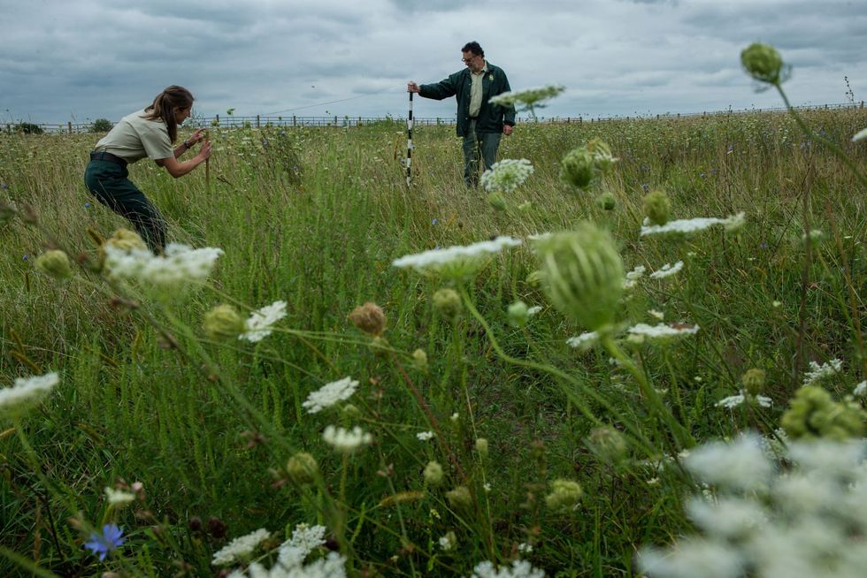 1.6 million acres of Great Plains grasslands were destroyed in 2021 alone, World Wildlife Fund says