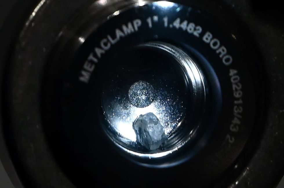 In U.S. capital, selfies with asteroid hinting at Earth's origins