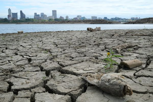 Hottest October globally marks fifth record-shattering month
