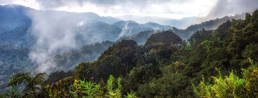‘Miniature’ mountain creature — with ‘squeaker’-like call — discovered as new species