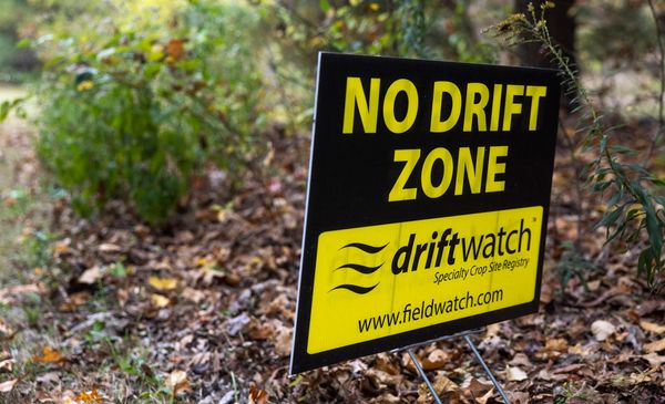 Weedkillers are hitting Missouri and Illinois forests. And they’re killing trees.
