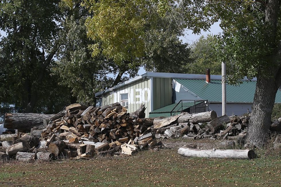 Tree theft: Why an uncommon crime is on the rise in Iowa