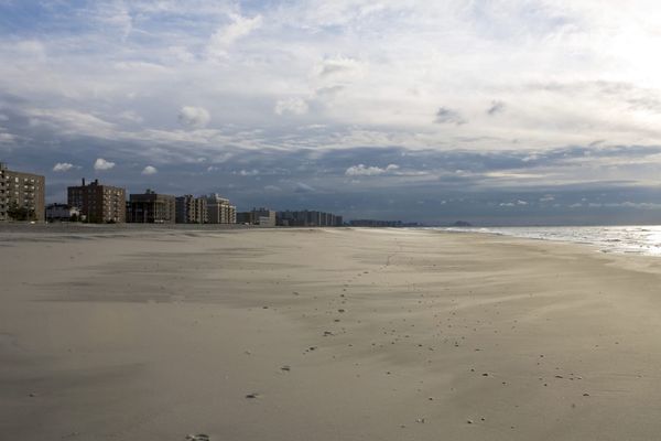 Birthmark, shorts on headless corpse washed up on NYC beach match missing Irish filmmaker