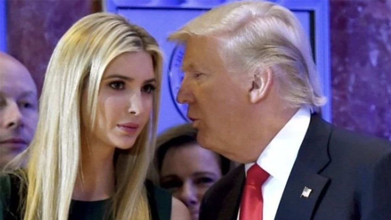 Trump was 'very attracted' to his pardoning powers when he became president: NYT reporter