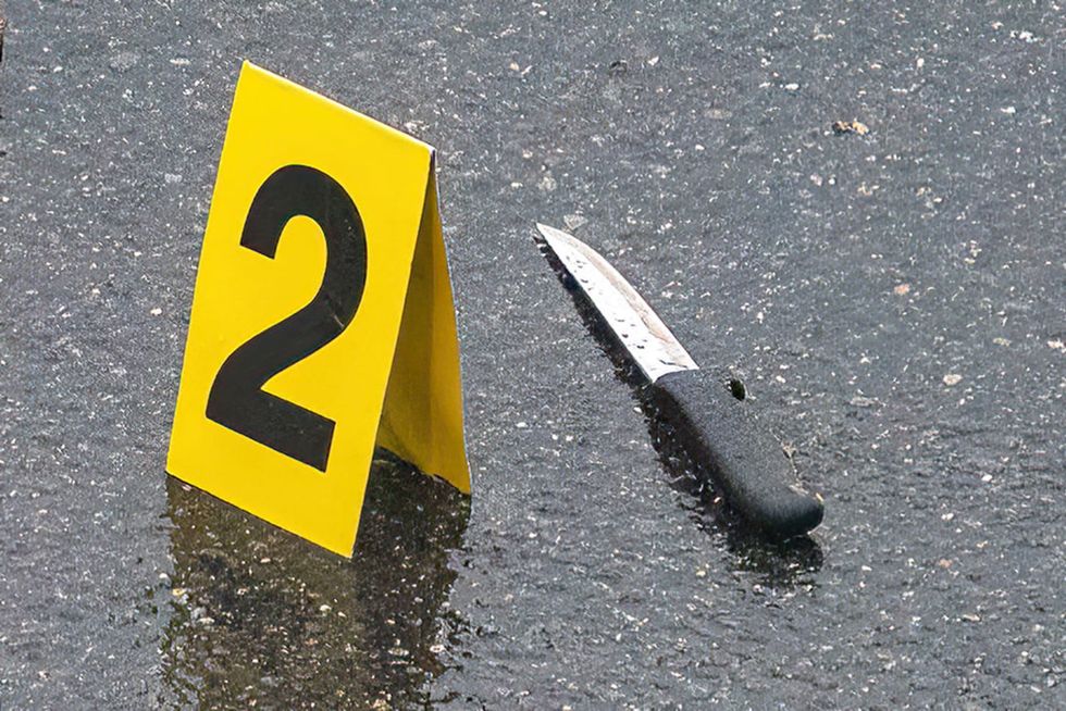 4 stabbed to death, including 2 children, by relative outside burning Queens home