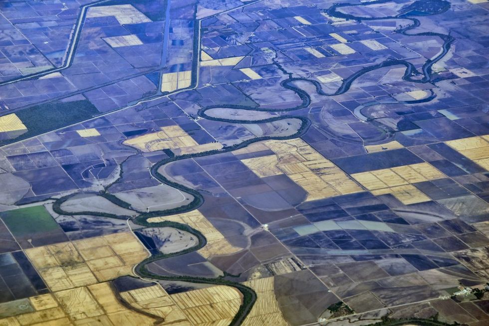 This land is our land: States crack down on foreign-owned farm fields