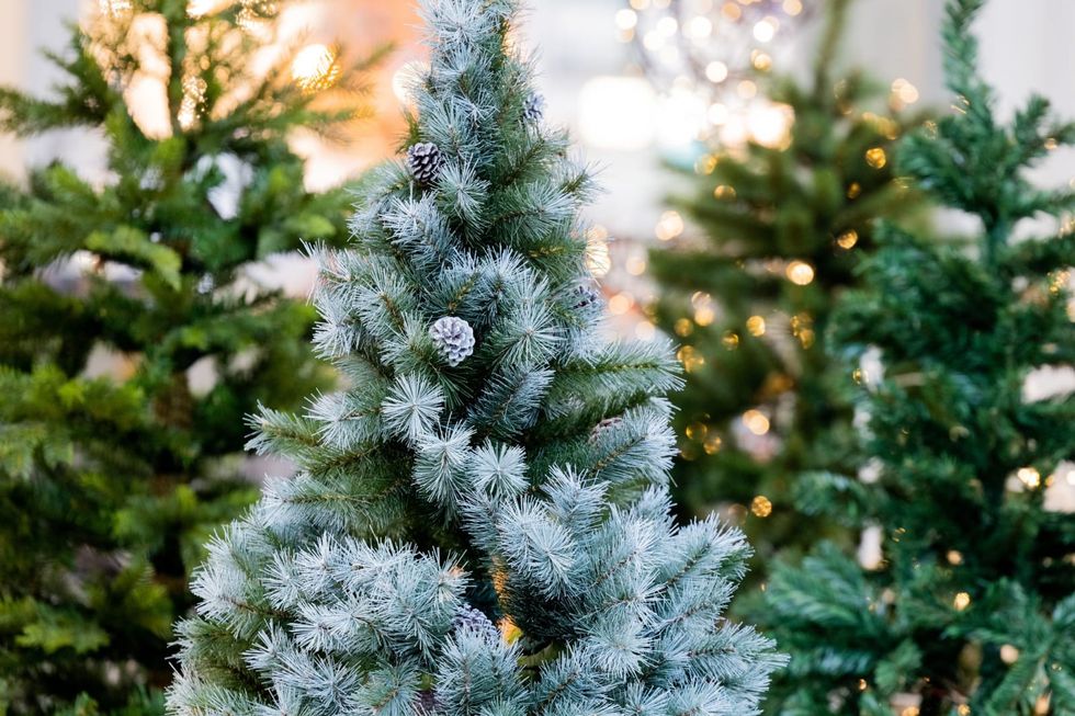 Are plastic Christmas trees the better choice for the environment?