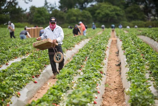 Migrant farmworkers want to live in California. There’s just no affordable housing
