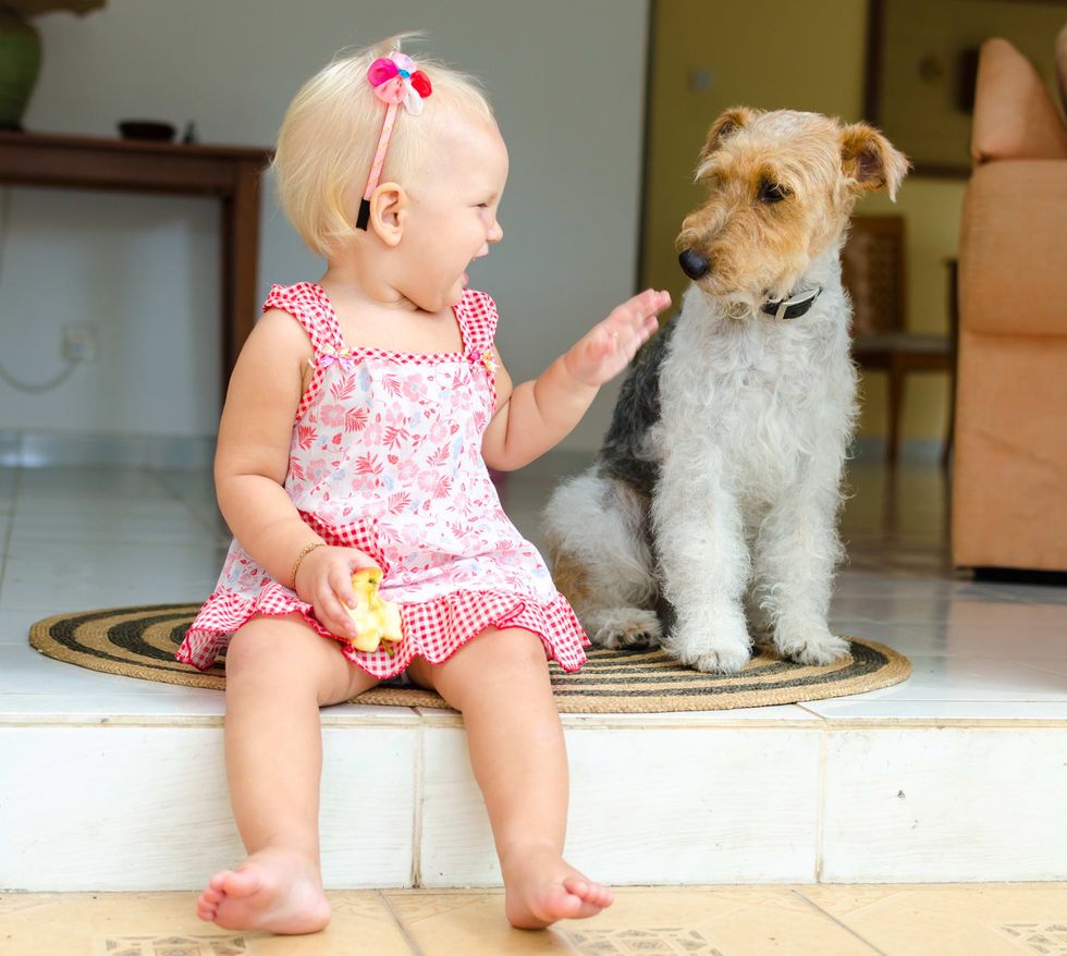 How to stop your kid from terrorizing the family pet