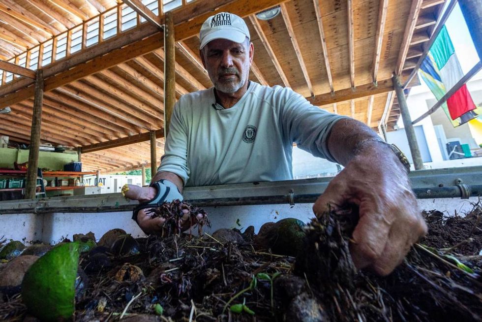 She’s Miami’s compost queen, ruler of a climate-friendly, waste-eating worm force