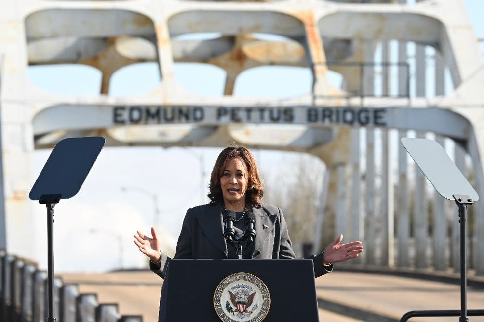 Kamala Harris calls for 'immediate ceasefire' in Gaza