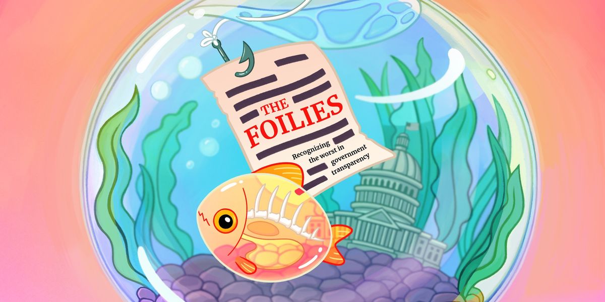 Foilies 2024: Recognizing the worst in government transparency - Raw Story