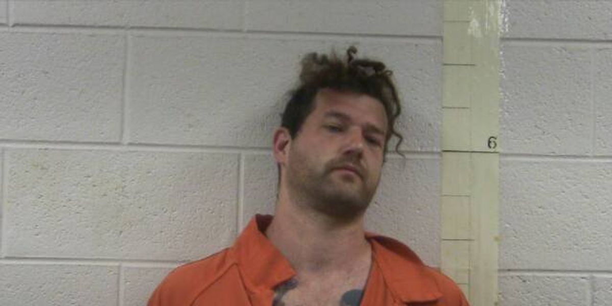 Neo-Nazi leader charged with child abuse, domestic violence