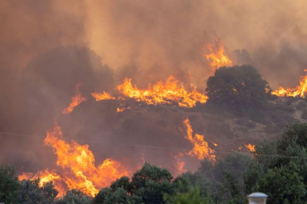Authorities issue alert as early forest fires rage in Greece