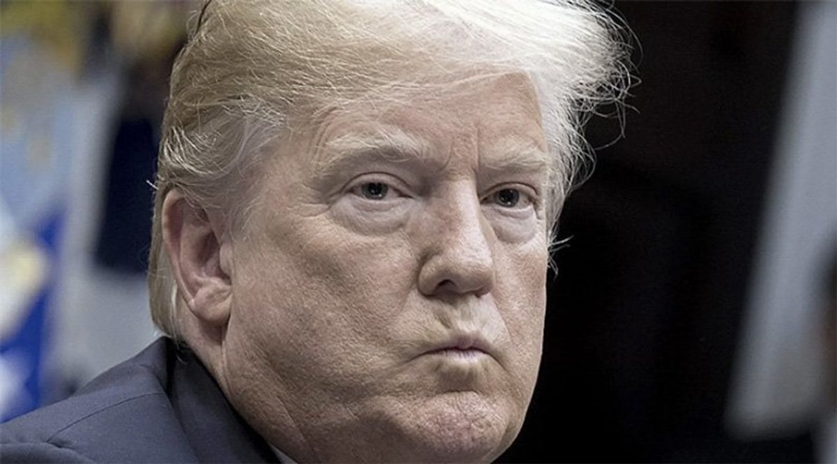 'A frightened, clucking chicken': Columnist roasts Trump's terror of going to trial