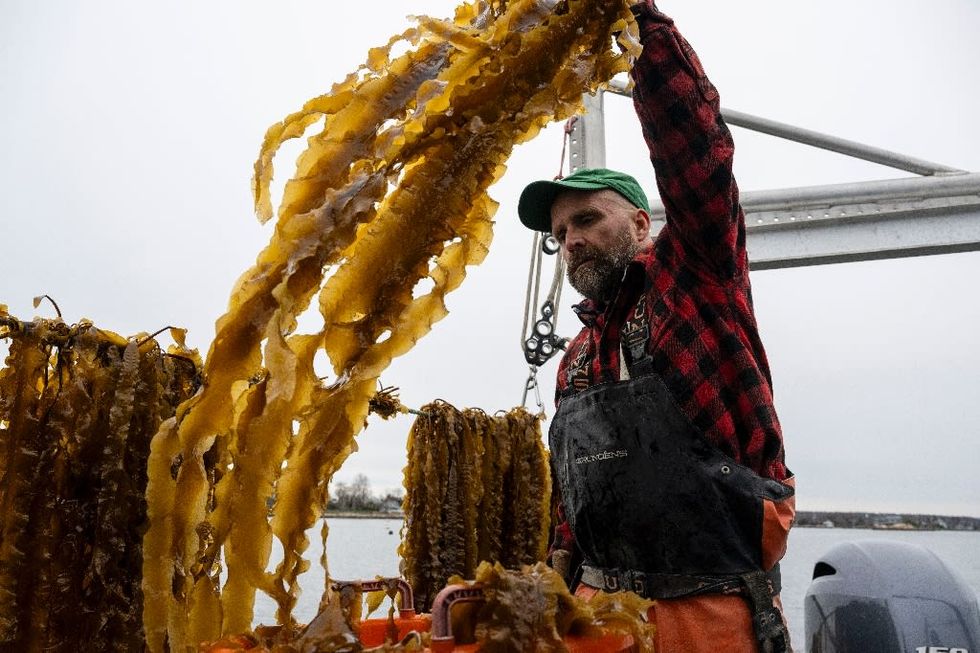 A leader in U.S. seaweed farming preaches, teaches and builds a wider network