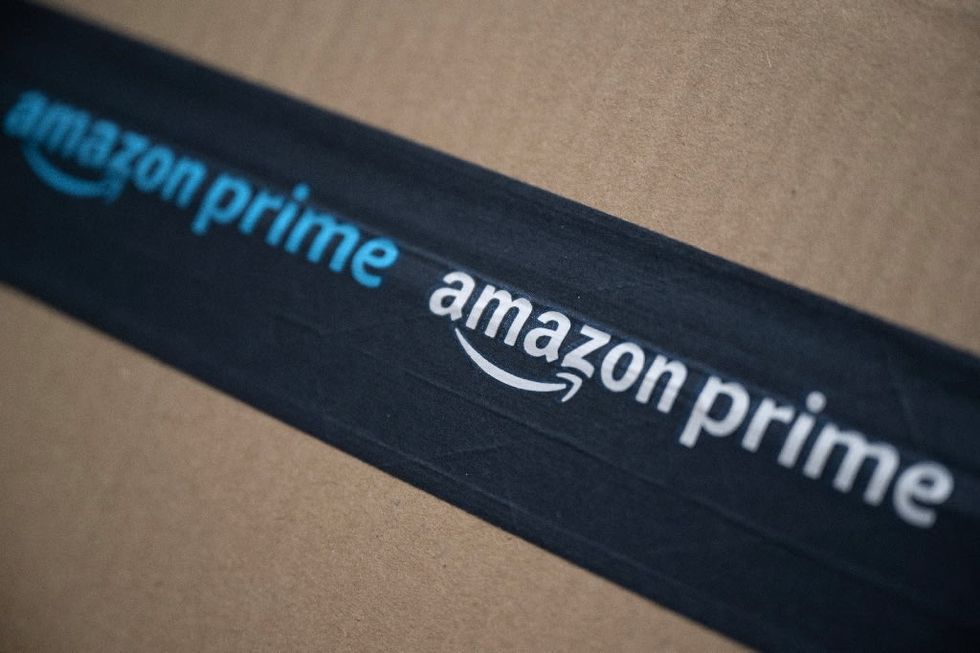 Amazon Purr-rime: Cat accidentally shipped to online retailer