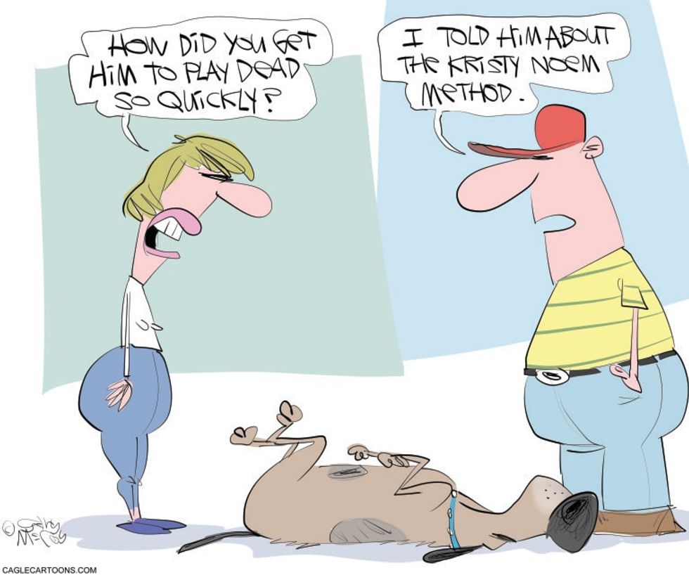 Kristi Noem's vice presidential Trump selection chances now in political gravel pit