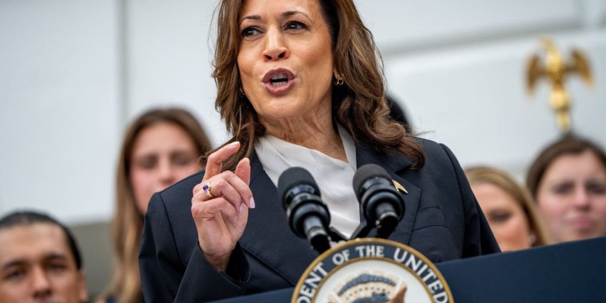 Analysts see excitement and pathways for Kamala Harris 'historic' win in Virginia