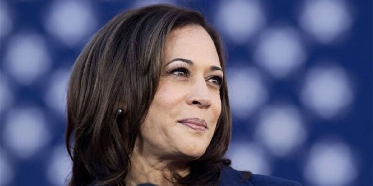 Msnbc Harris 'These numbers are insane': MSNBC panel stunned by massive sign-up of ...