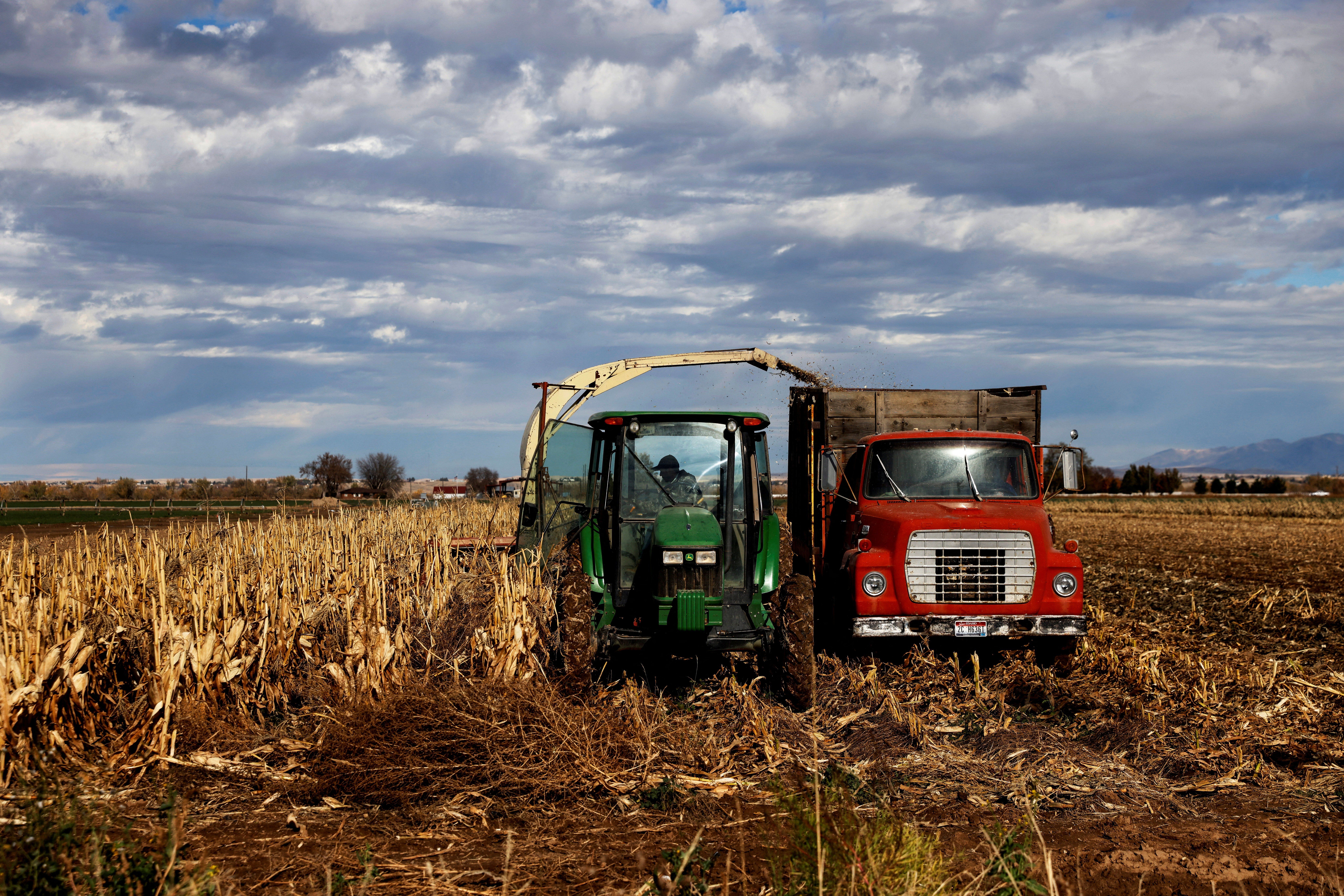 Idaho farm