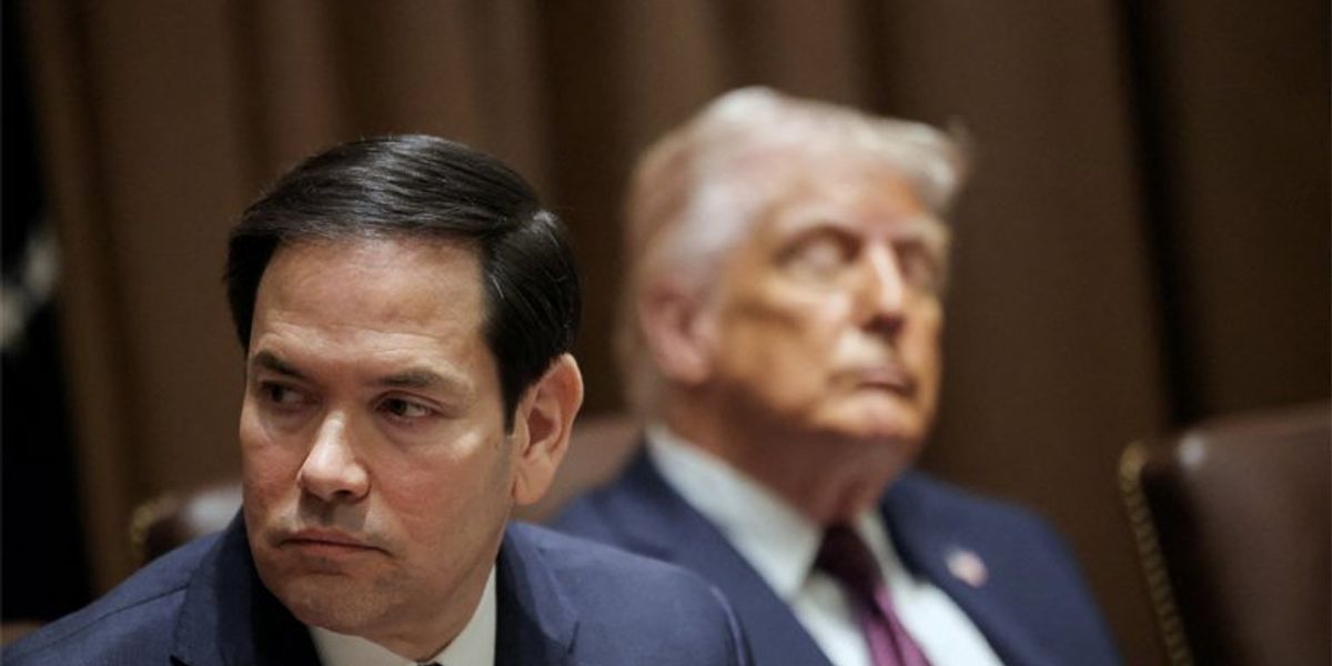 'Infinite monkeys with infinite typewriters': Leaked executive order draft stuns diplomats