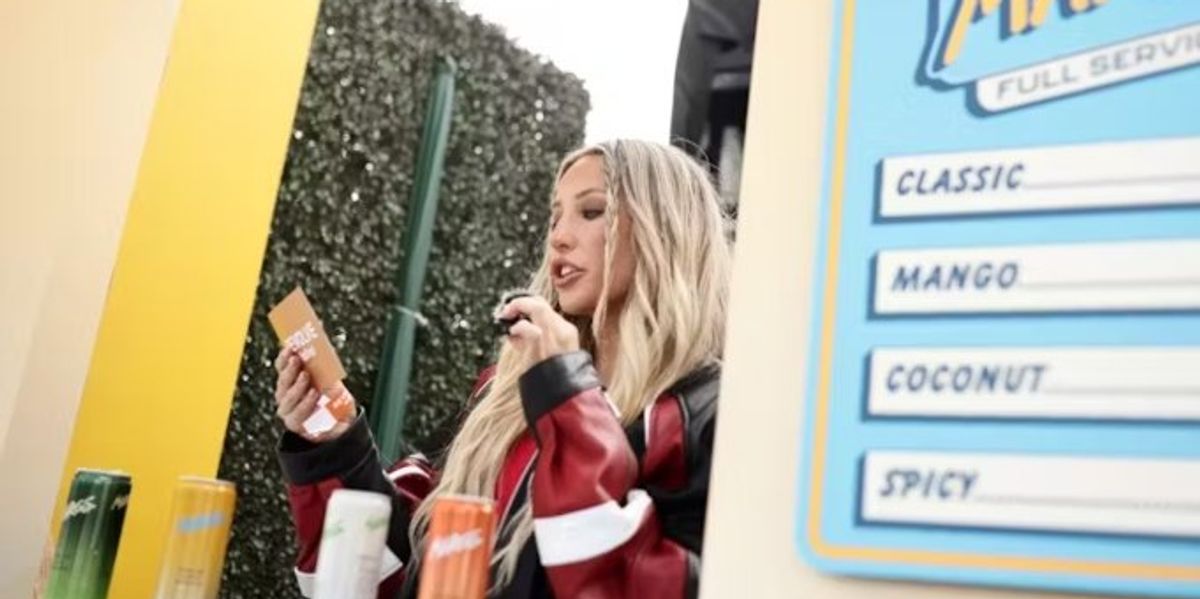 'The art of hating': Why $150B influencer industry needs snarky trolls