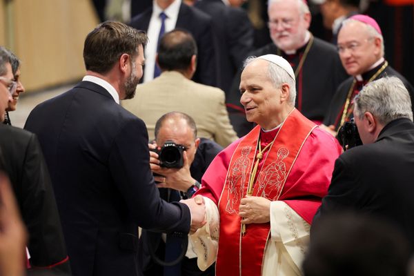 'Straight challenge to MAGA': Trump's fans rage at Pope Leo's 'woke manifesto'