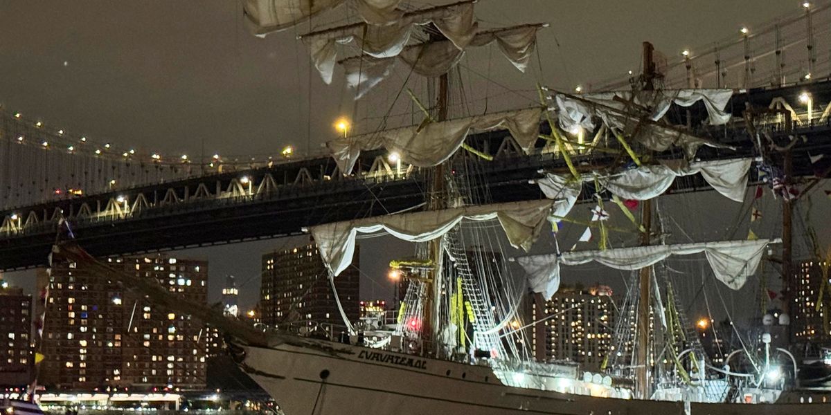 'You moron!' MAGA celebrity sickens with jokes as Mexican ship hits Brooklyn Bridge