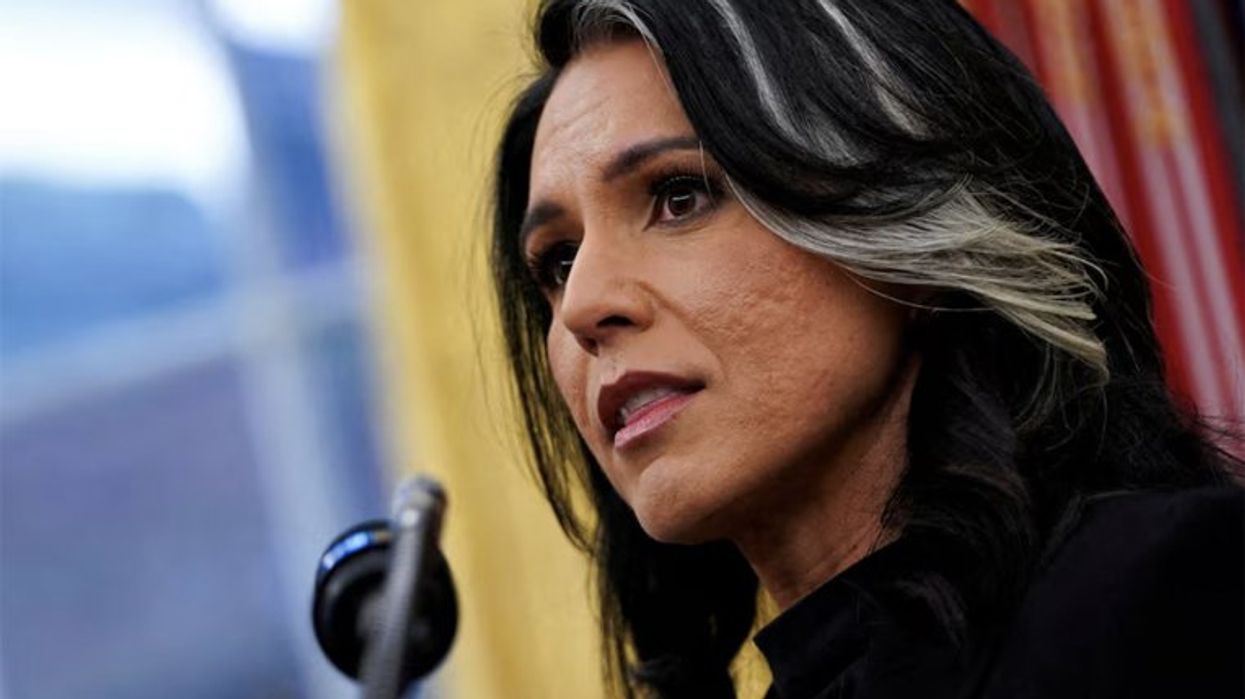 'Change her meds': MSNBC panel baffled by 'just plain weird' Tulsi Gabbard video