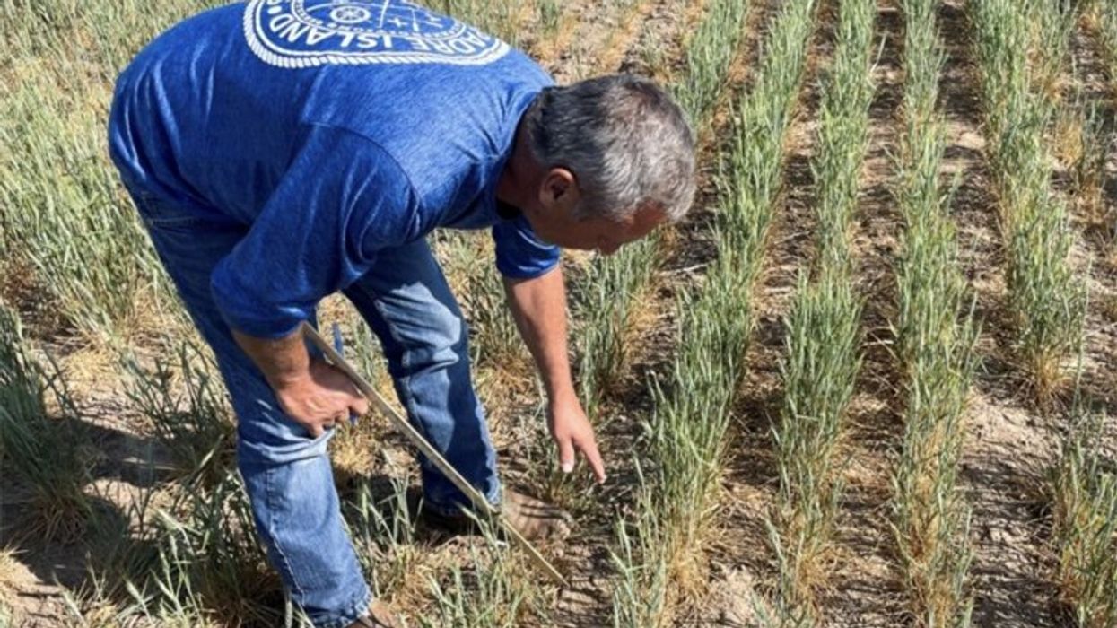 'This is going to end us': Florida growers warn Trump he's 'killing farming'