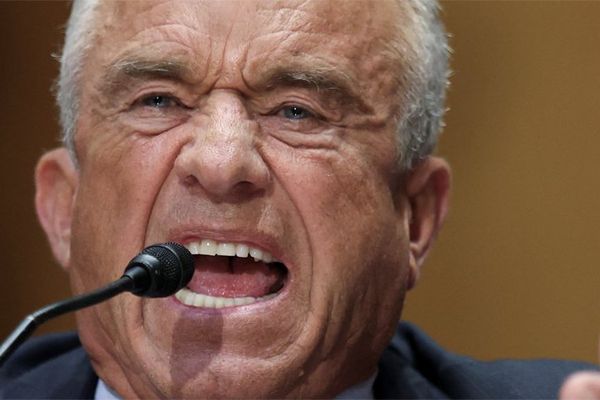 'Hell of a death toll to put on your boss': Kennedy nailed for inadvertent dig at Trump