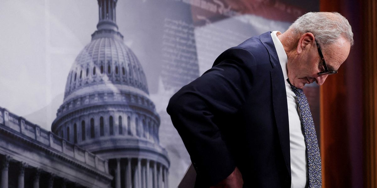 Bitter feud is threatening to doom Dems — and entrench GOP in power for decades: insider