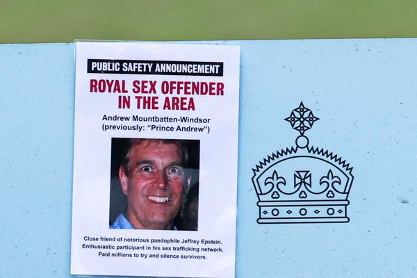 Prince Andrew's biographer flags Trump links 'clearly taken out' of Epstein files