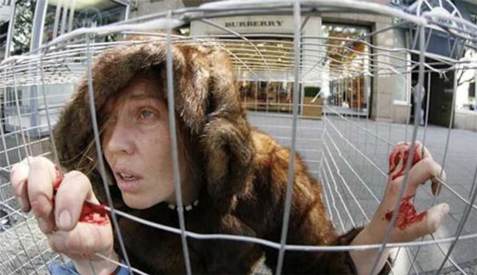 PETA finds new ally with Trump and RFK Jr.: 'You have to weigh your options'