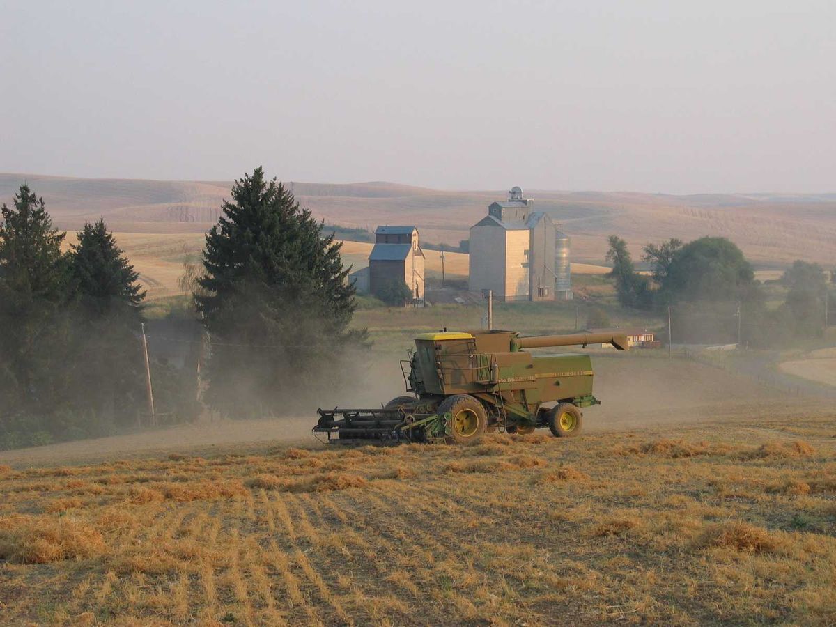 Trump policies spark warnings of impending disaster: ‘Going to be fewer farmers’