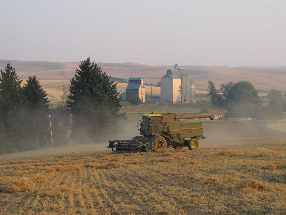 Trump policies spark warnings of impending disaster: ‘Going to be fewer farmers’