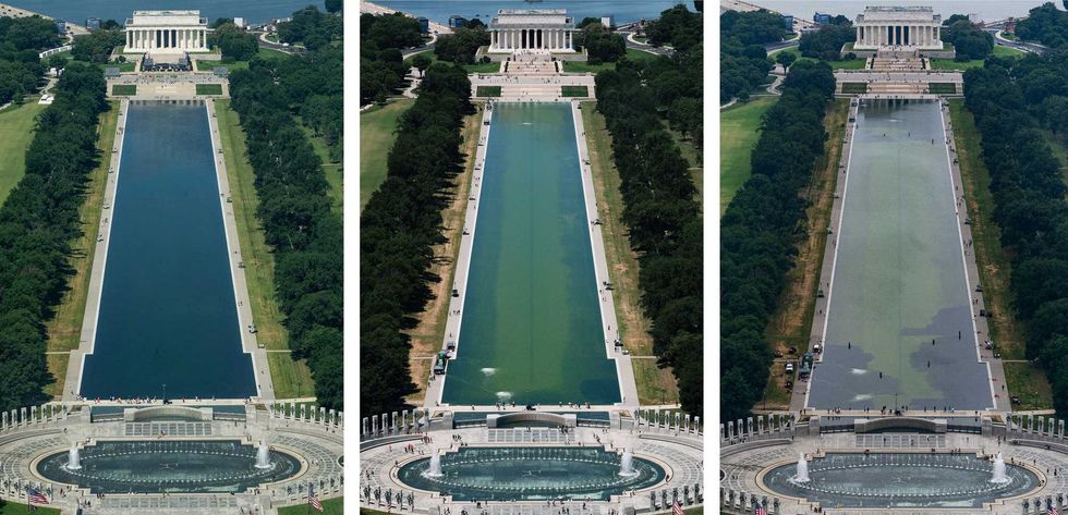 Trump’s bungled pool project gets vicious review from DC residents: 'Feel for the ducks'