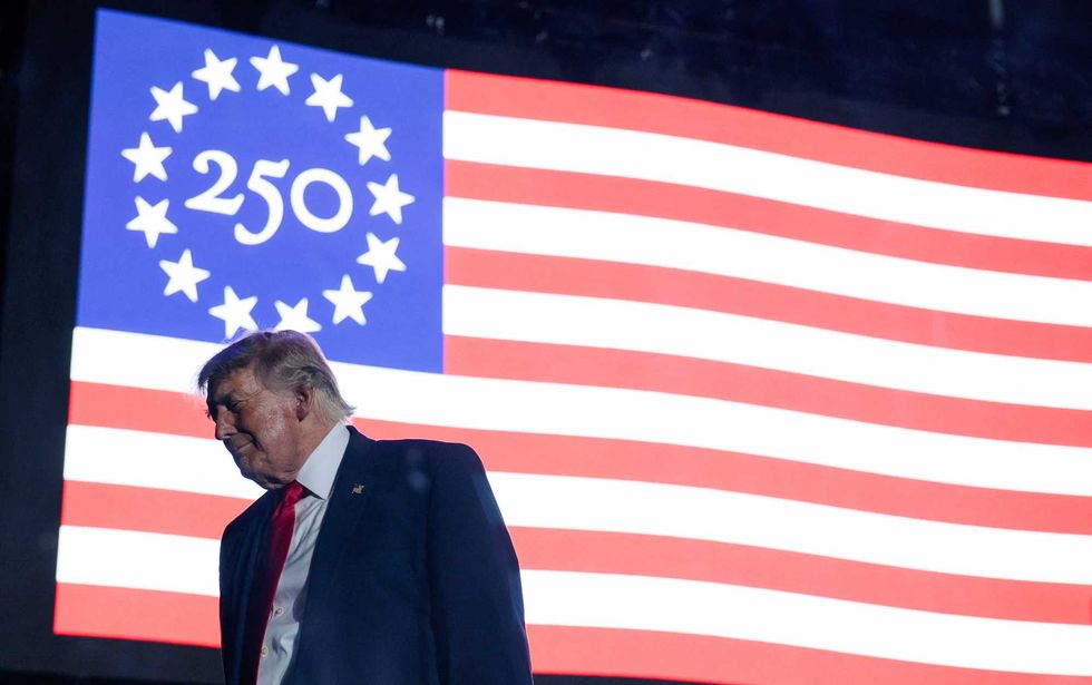 Bonkers plot exposed to shield Trump from international prosecution: report