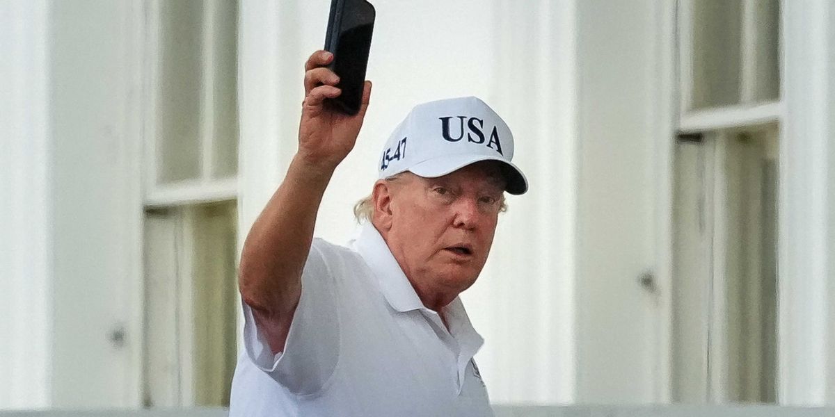 Trump 'unwittingly' makes startling admission in scramble to prove election fraud: report