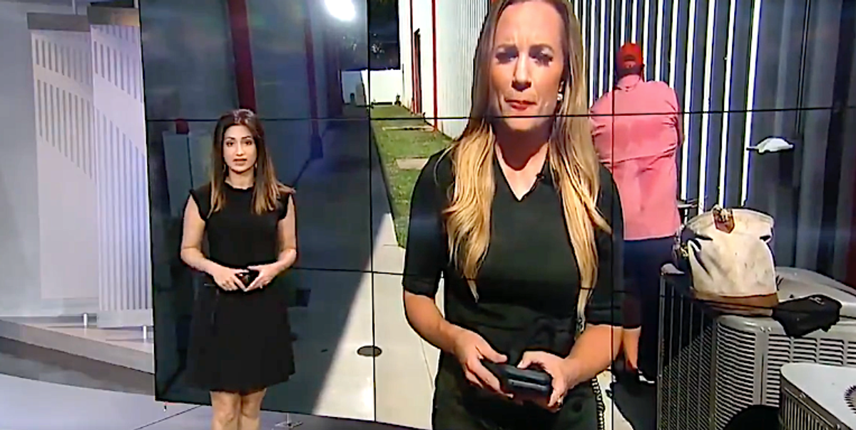 Right-wing Twitter erupts after Fox reporter says on-air that she's handing over recordings to Project Veritas: 'About to crush the Murdochs'