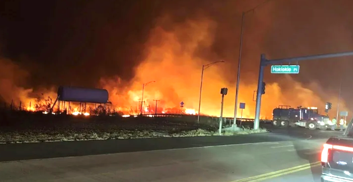 Revealed: Hawaii official refused to release water for Maui fires until it was too late