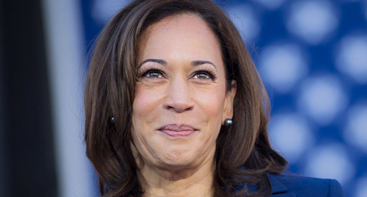 ‘People are energized’: LGBTQ+ rights groups and voters are lining up behind Harris