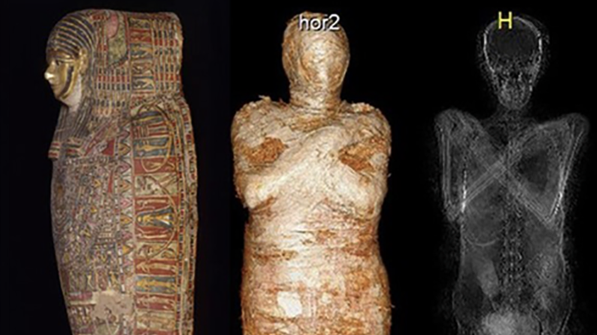 A mommy mummy: The first-ever mummified pregnant woman discovered by archeologists after mistaken identity